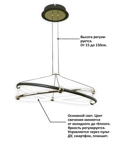 Люстра подвесная с пультом HIGH-TECH LED LAMPS 82049 Natali Kovaltseva чёрная на 1 лампа, основание золотое в стиле современный хай-тек минимализм с пультом кольца фото 2